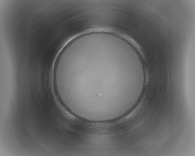 X0000111160836200908111152
