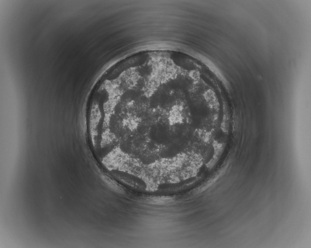 X0000111160837200908111152