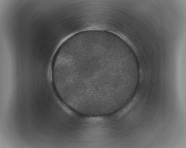 X0000111160838200908111152