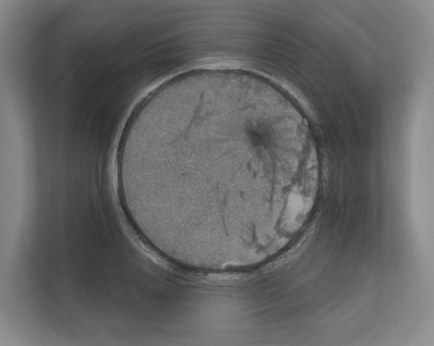 X0000111160840200908111152