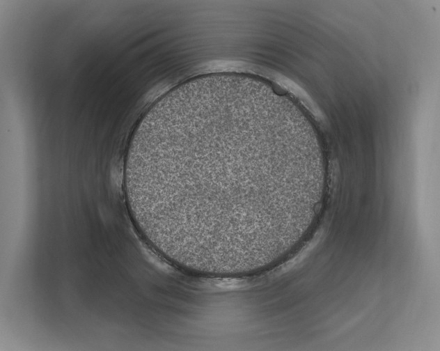 X0000111160841200908111152
