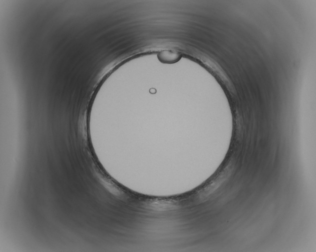 X0000111160842200908111152