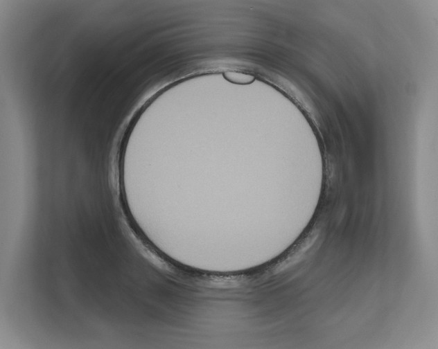 X0000111160843200908111152