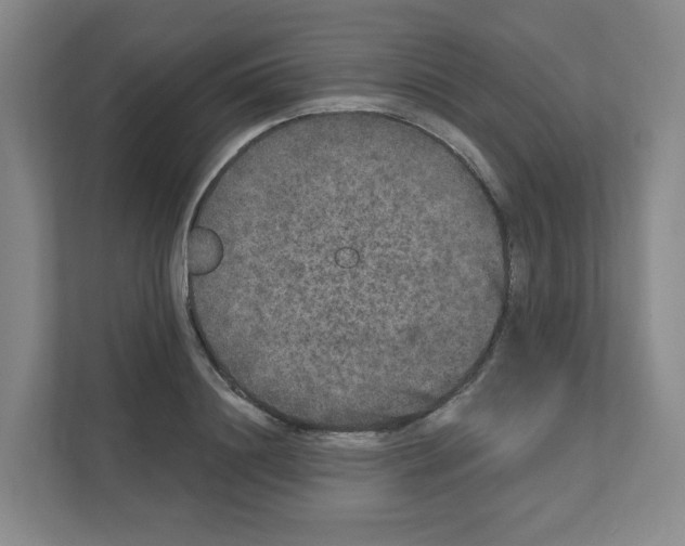 X0000111160844200908111152