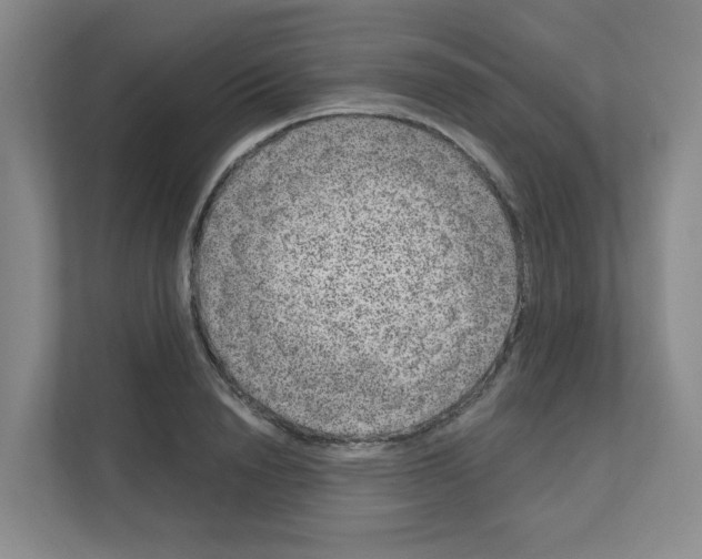 X0000111160846200908111152
