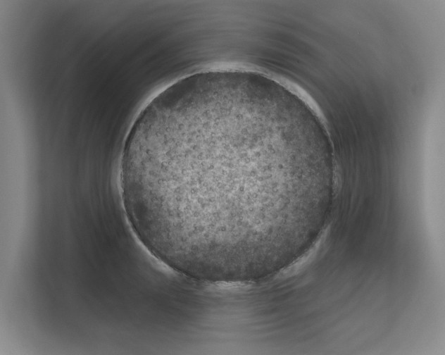 X0000111160847200908111152