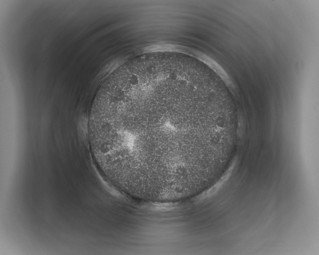 X0000111160849200908111152