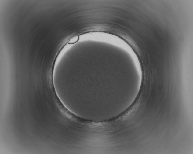 X0000111160850200908111152