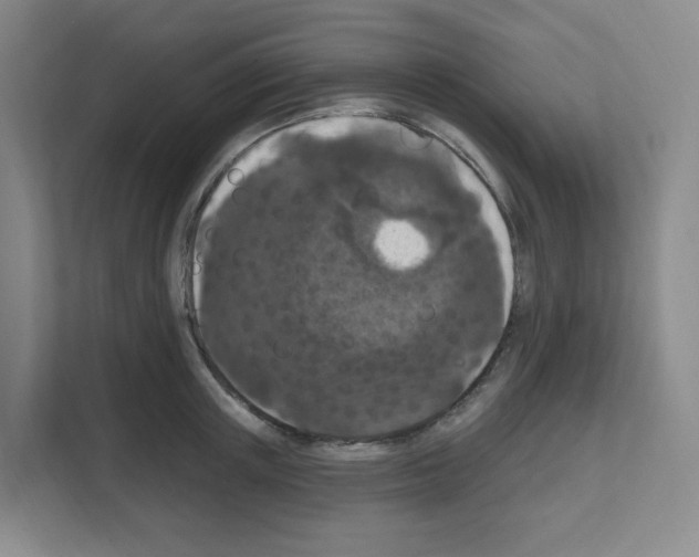 X0000111160851200908111152