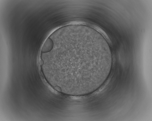 X0000111160852200908111152