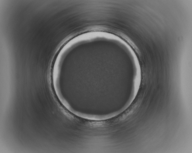 X0000111160853200908111152