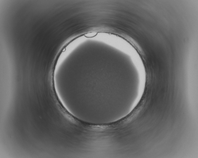 X0000111160854200908111152