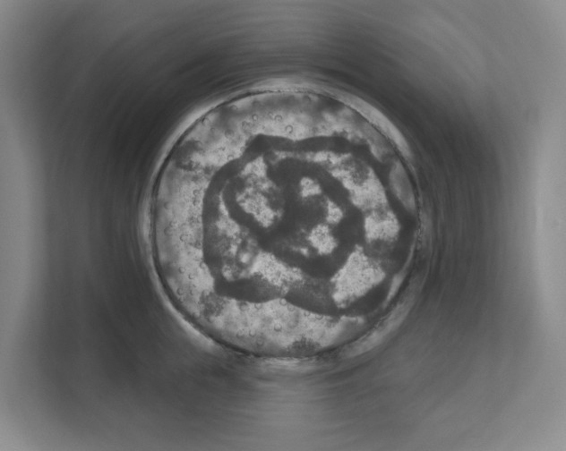 X0000111160855200908111152