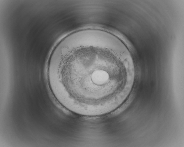 X0000111160856200908111152