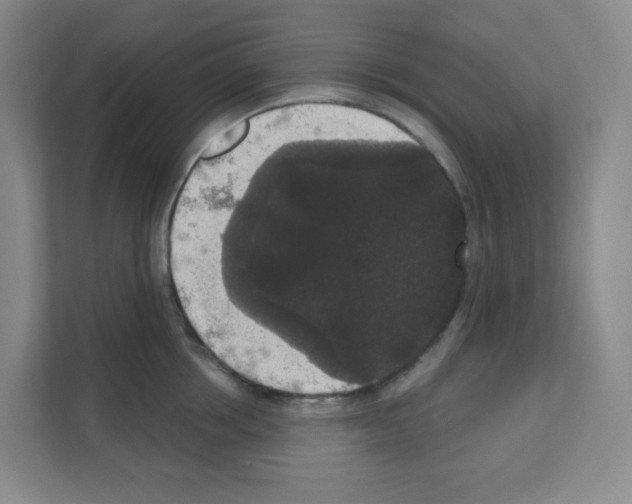 X0000111160858200908111152