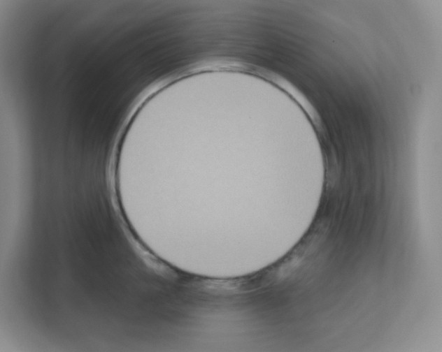 X0000111160861200908111152