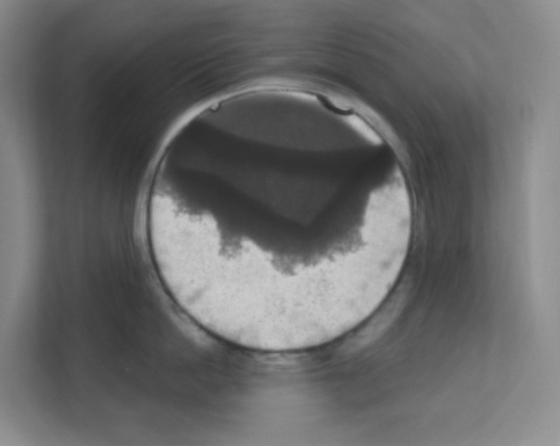 X0000111160862200908111152