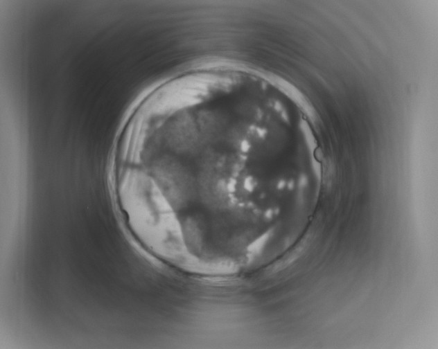 X0000111160863200908111152