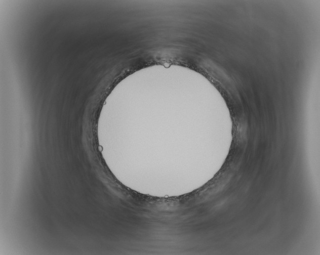 X0000111160865200908111152
