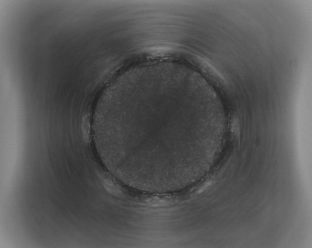 X0000111160868200908111152