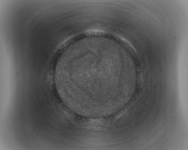 X0000111160870200908111152