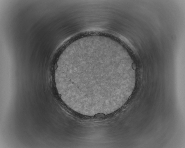 X0000111160872200908111152