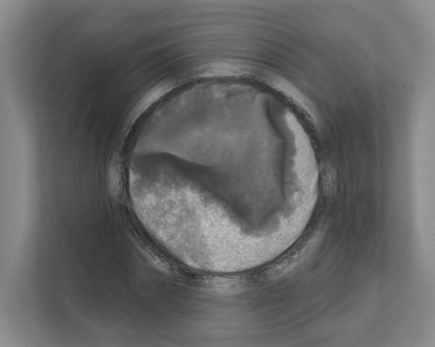X0000111160874200908111152