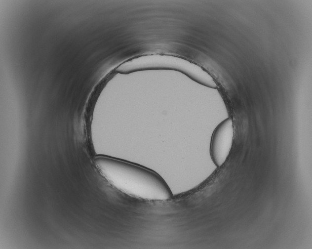 X0000111160876200908111152