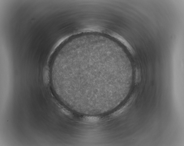 X0000111160878200908111152