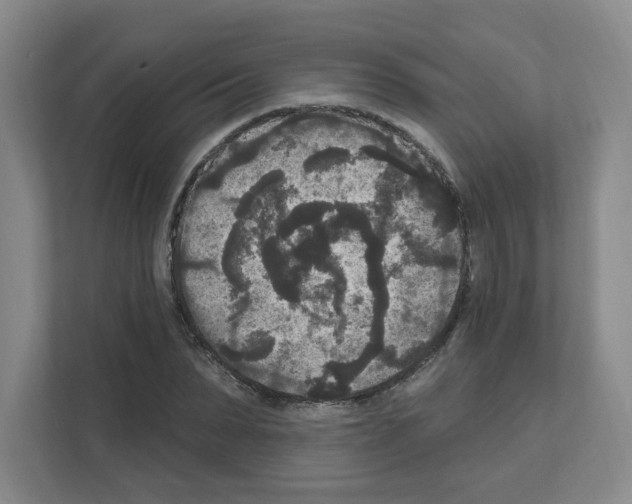X0000111160879200908111152