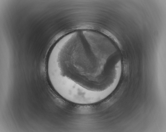 X0000111160882200908111152