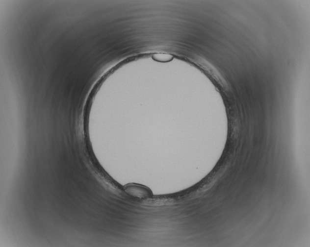 X0000111160884200908111152