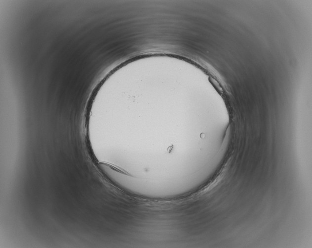 X0000111160885200908111152