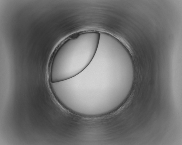 X0000111160888200908111151