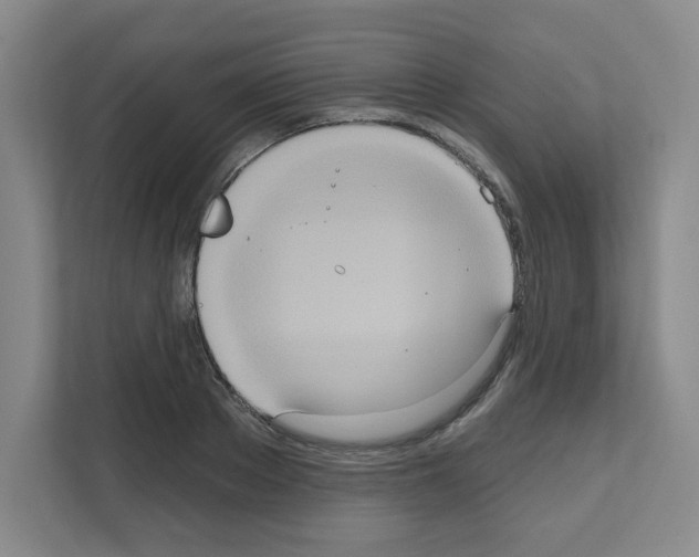 X0000111160889200908111151