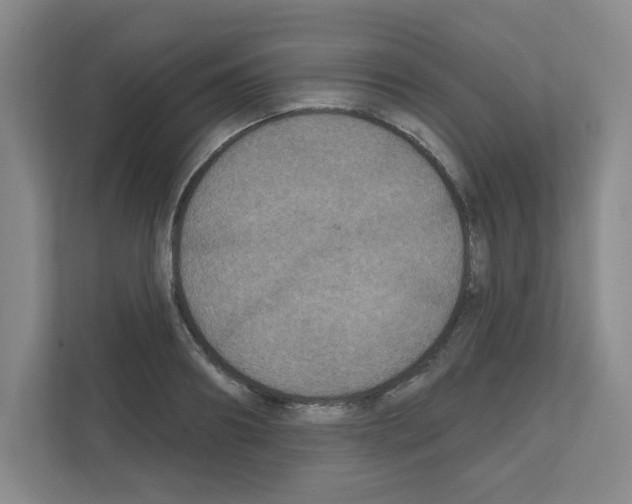 X0000111160890200908111151