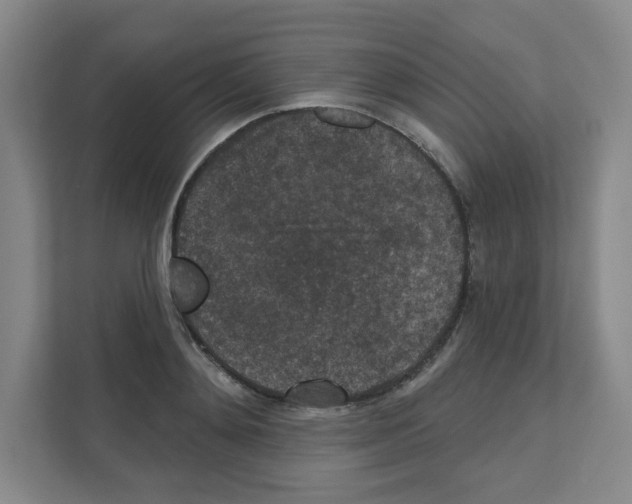 X0000111160892200908111151