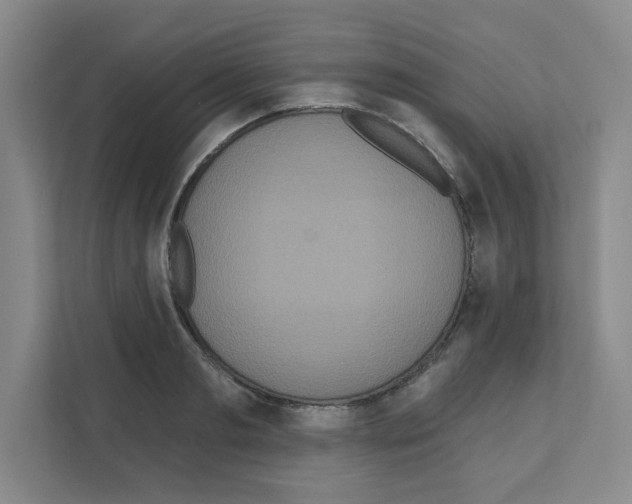 X0000111160893200908111151