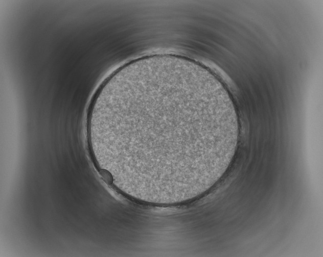 X0000111160894200908111151