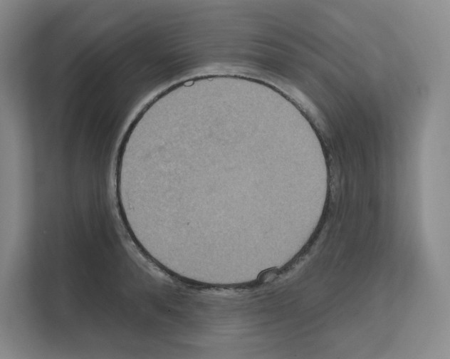 X0000111160896200908111151