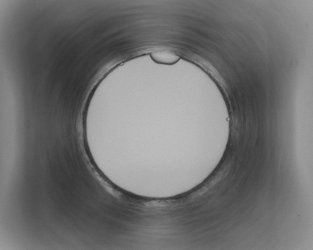 X0000111160898200908111151
