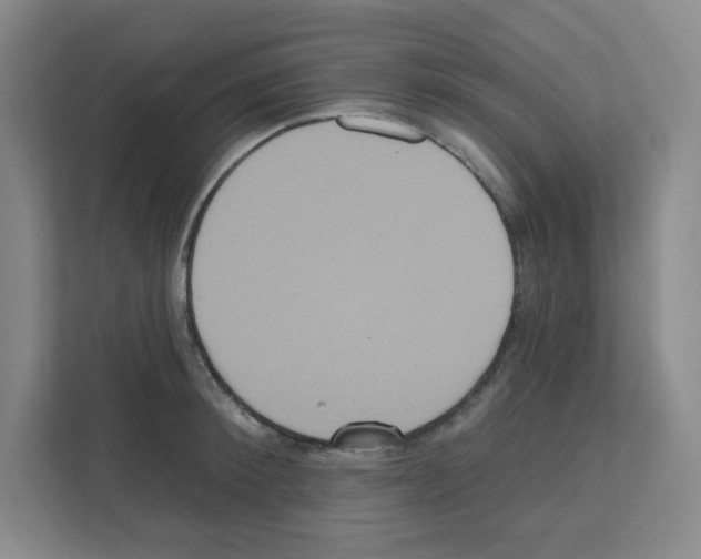 X0000111160900200908111151