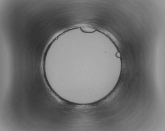X0000111160902200908111151