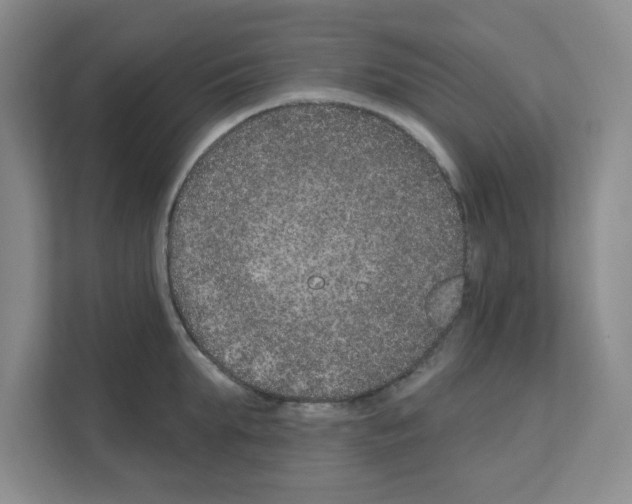 X0000111160903200908111151