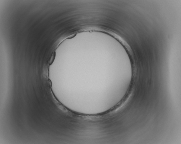 X0000111160905200908111151