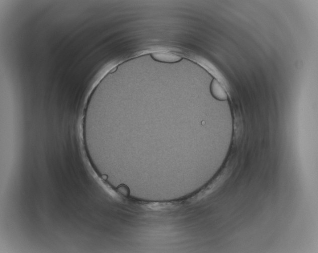 X0000111160906200908111151
