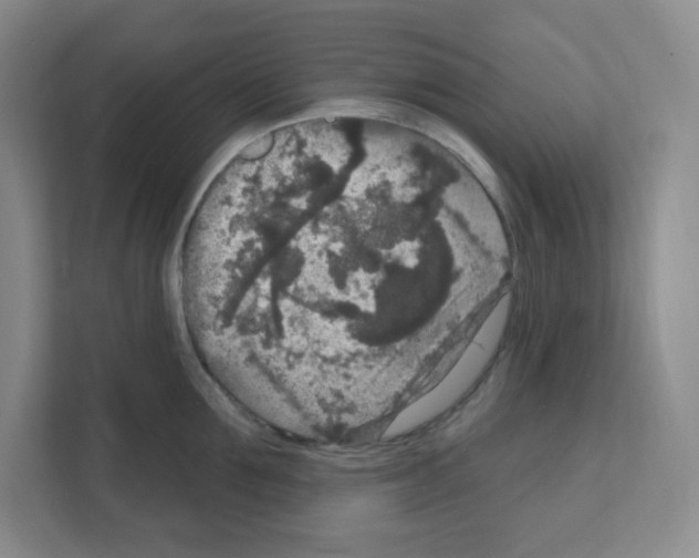 X0000111160907200908111151