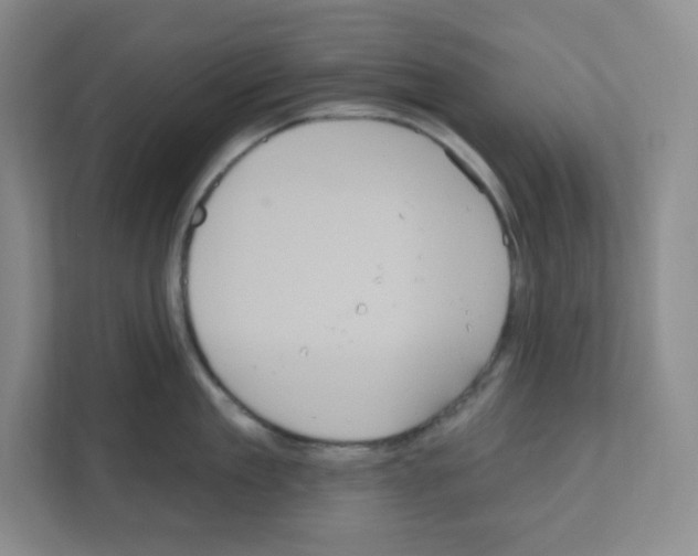 X0000111160909200908111151