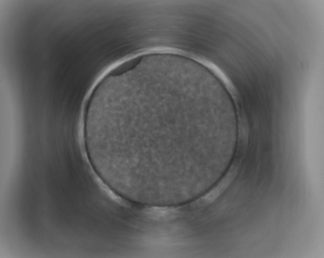 X0000111160910200908111151