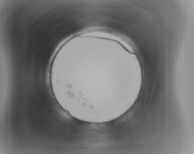 X0000111160912200908111151
